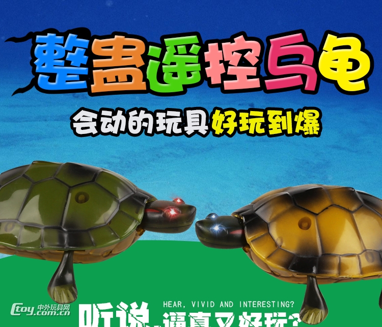 嘉会峰整蛊遥控仿真乌龟9993图片