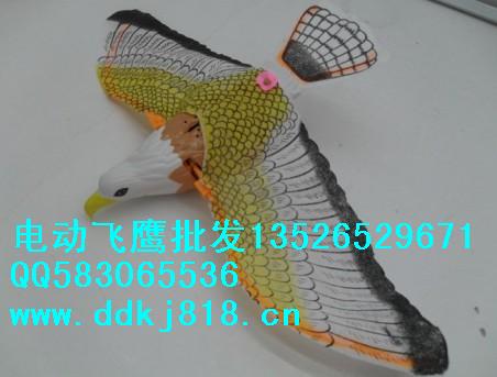 电动飞鹰图片